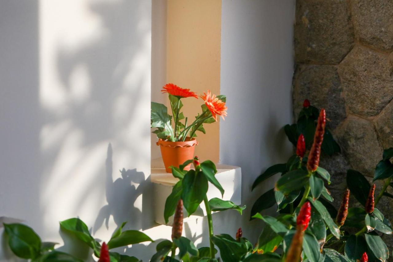 Prima Villas Karon Phuket Ban Karon Dış mekan fotoğraf